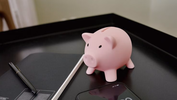 Ein Sparschwein zeigt, dass mit Zuschüssen und Förderungen Geld gespart werden kann.