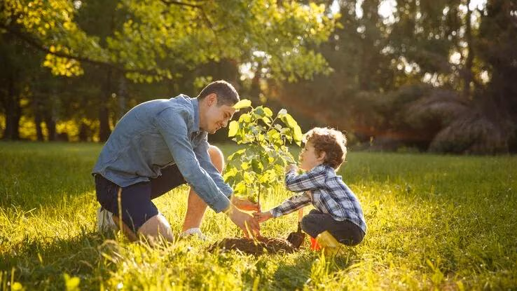Ein Vater und sein kleiner Sohn planzen gemeinsam einen kleinen Baum inmitten einer Wiese.