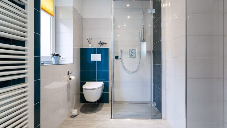 Eine Walk-In Dusche und eine Toilette links daneben.