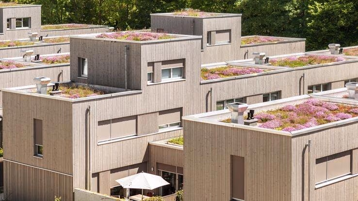 Abgebildet ist eine nachhaltige Häusersiedlung mit einer Fassade aus Holz.