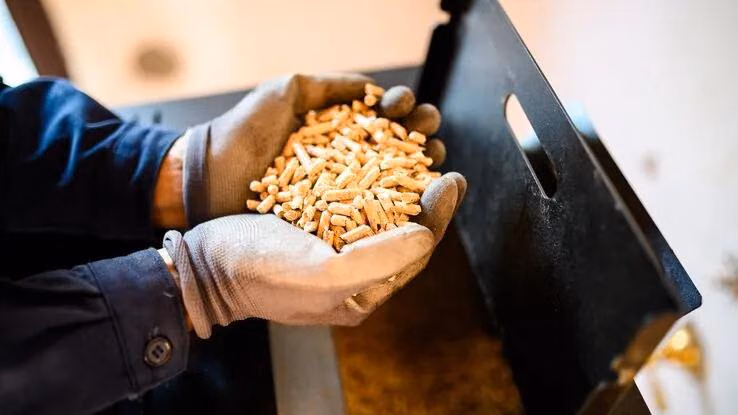 Stäbchenförmige Holzpellets werden von zwei behandschuhten Händen, welche schüsselartig geformt sind gehalten.