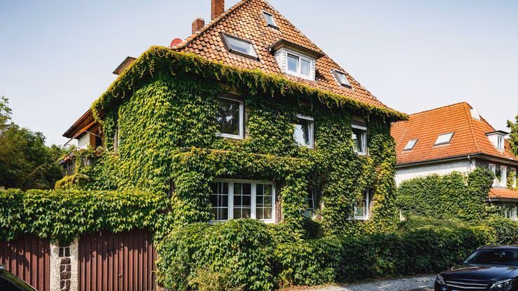 Das Foto zeigt ein Einfamilienhaus, welches komplett mit Efeu zugewachsen ist. Das Haus hat weiße große Fenster und ein Zeltdach.