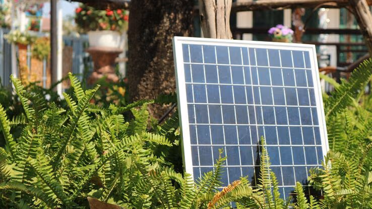 Eine kleine Solaranlage steht neben einem Baum im Garten.