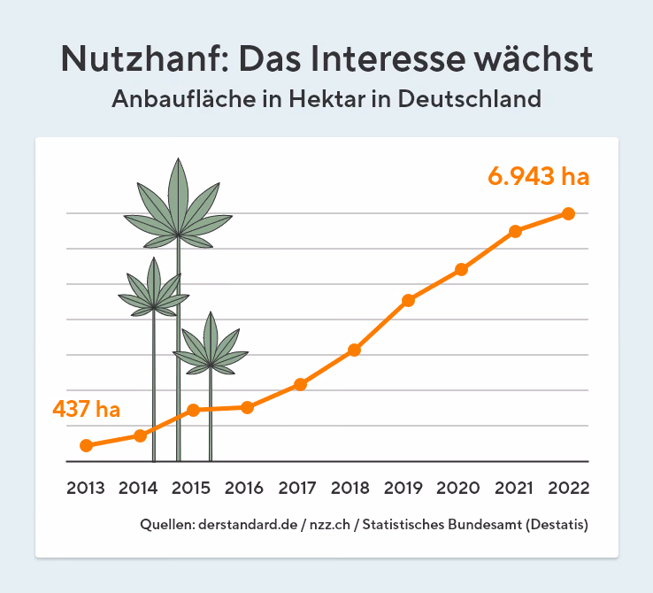 Die Graphik zeigt einen ansteigenden Graphen, welcher die Anbaufläche in Hektar von Nutzhanf in Deutschland in den Jahren 2013 bis 2022 aufzeigt. Der Graph ist orange und startet bei 437 Hektar und endet im Jahr 2022 bei 6943 Hektar. Zudem sind auf der Graphik drei unterschiedlich große Hanfblätter abgebildet.