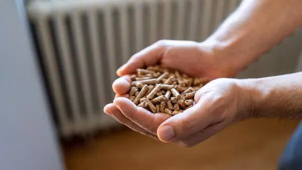 Eine Person hält Pellets zum Heizen in ihrer Hand.