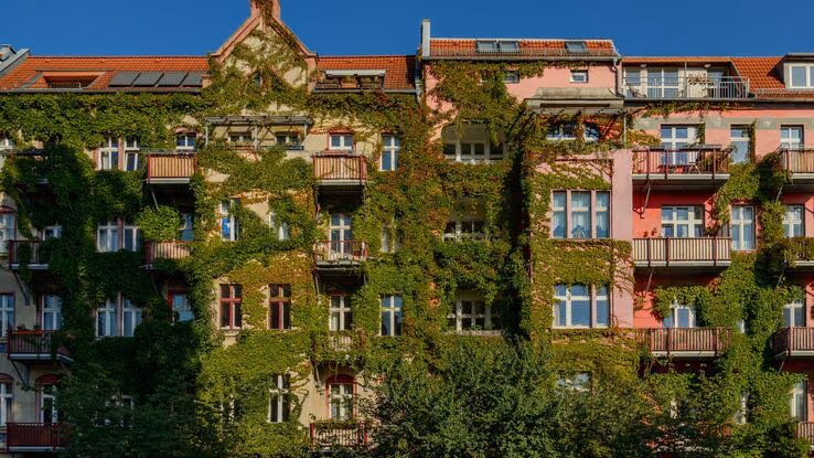 Das Foto zeigt ein gelbes und rosanes Wohngebäude mit einer begrünten Fassade.